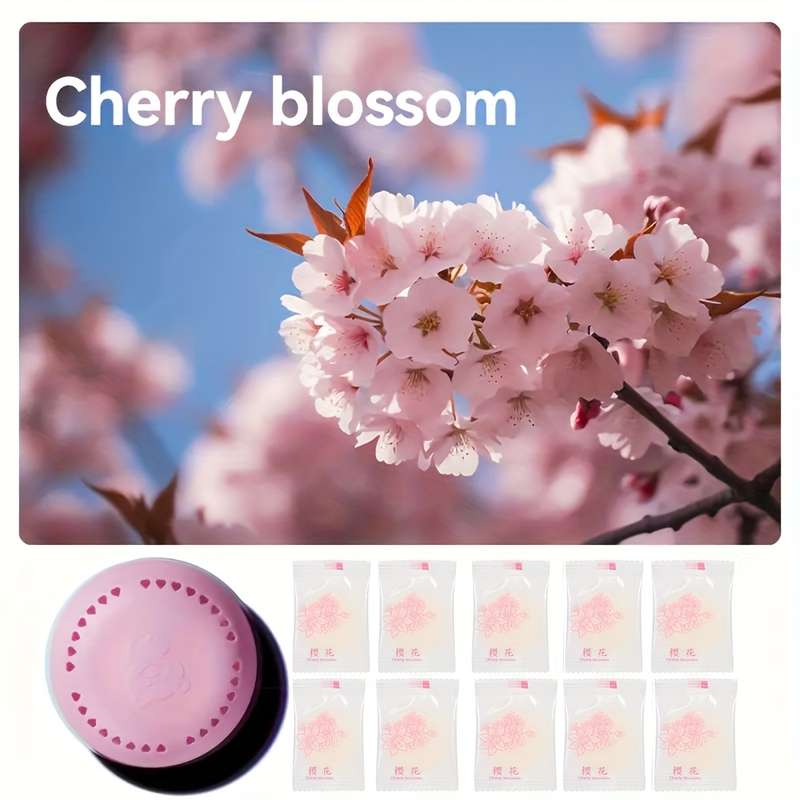 Long-Lasting Aromatherapy Air Fresheners