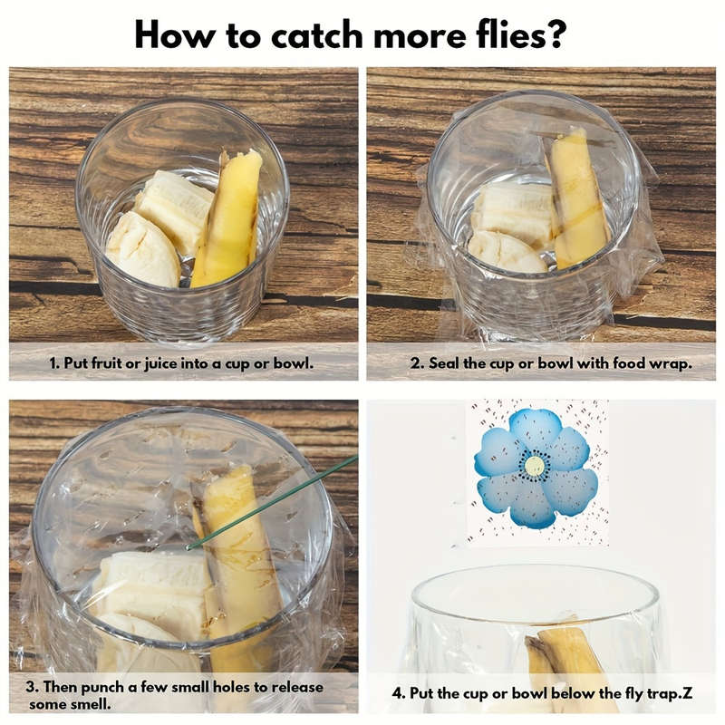 Indoor Clear Window Fly Traps