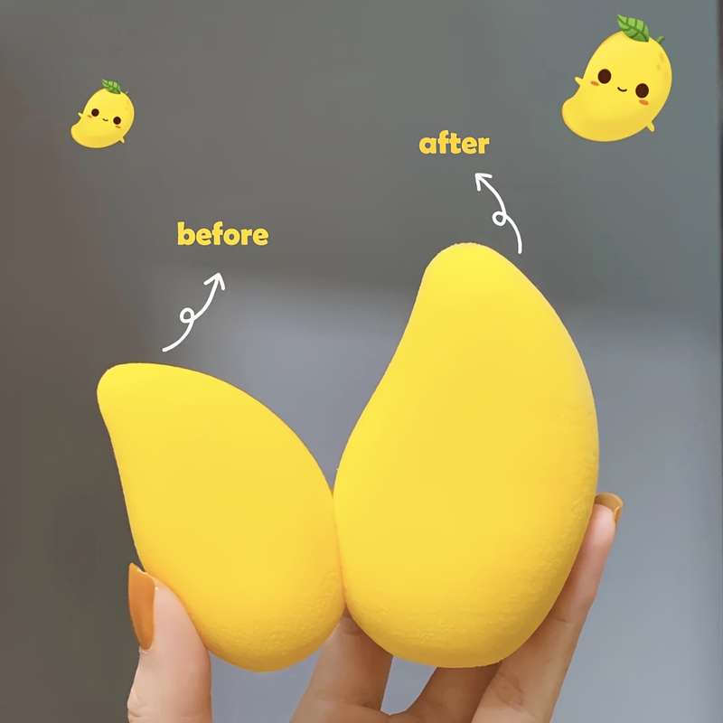Makeup Sponges