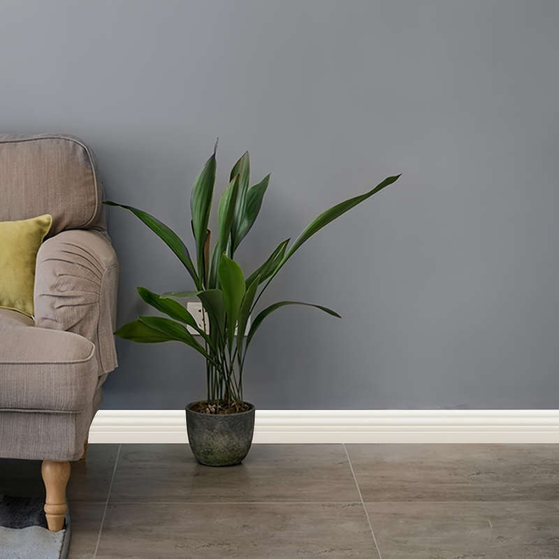 Wall Sticker