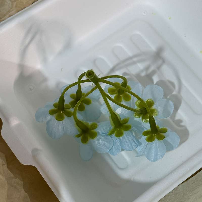 Decorative Flowers
