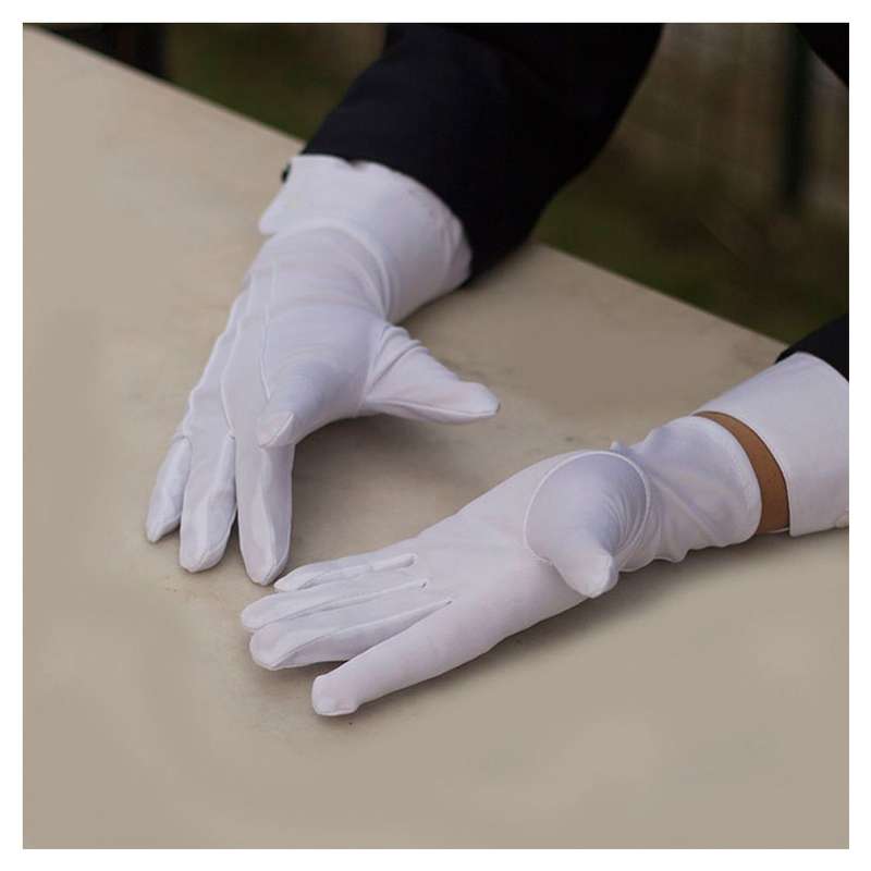 Gloves