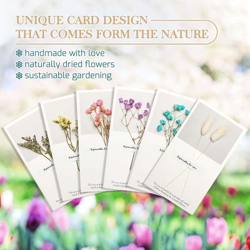 Greeting Cards