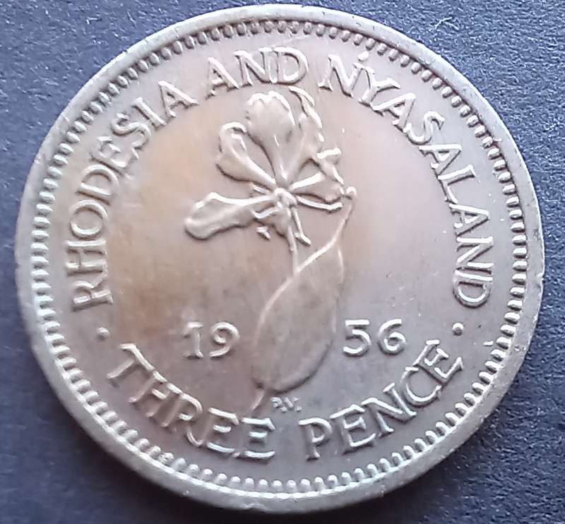 Rhodesia & Nyasaland 1956 Three pence
