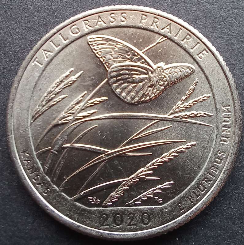 USA Quarter Dollar 2020