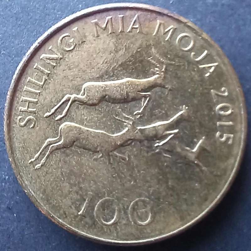 Tanzania 2015 100 Shilling