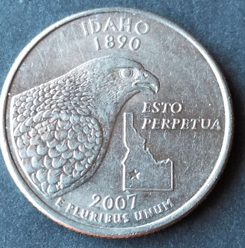 USA Quarter Dollar 2007