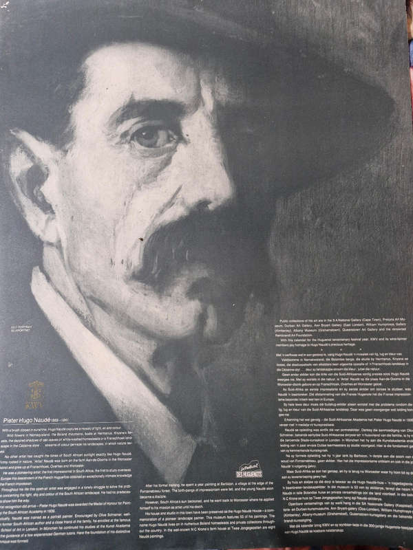 Pieter Hugo Naudè Prints