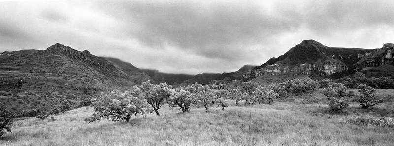 Hasselblad X-Pan and 45mm f4 lens