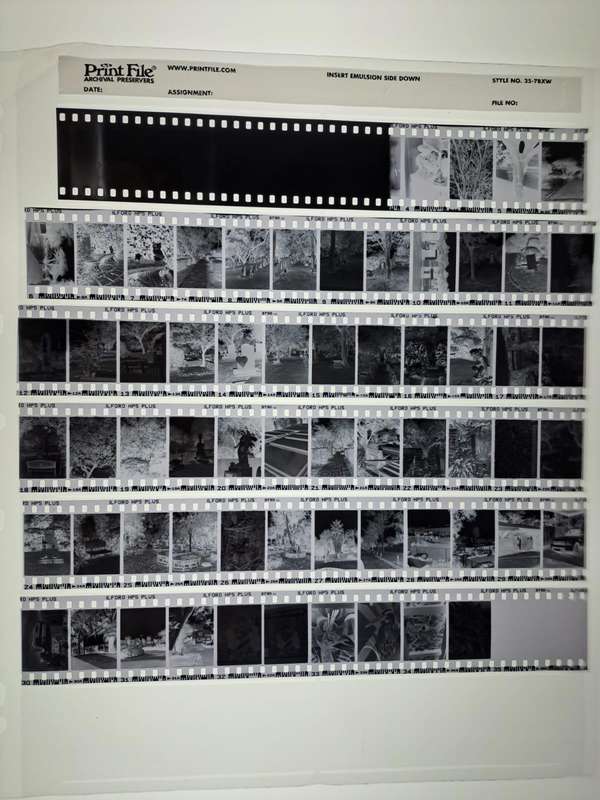 Olympus Pen EE-2