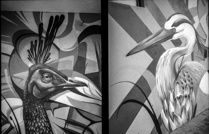 Olympus Pen EE-2