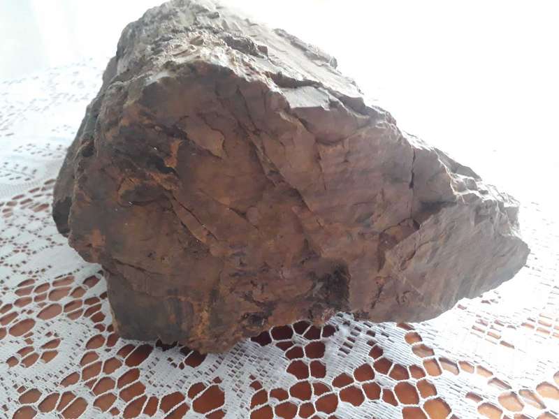 BEAUTIFUL LARGE 10KG PIECE OF FOSSILIZED TREE - PETRIFIED TREE/VERSTEENDE BOOM