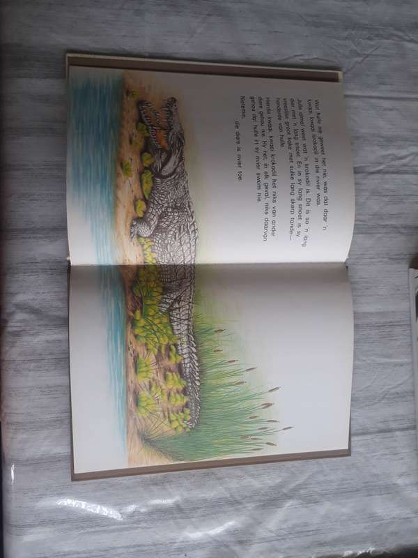 CHILDREN'S BOOK - AFRIKAANS - SKILLIE DIE SKILPAD DEUR JOE ZIMMELMAN - HARDEBAND