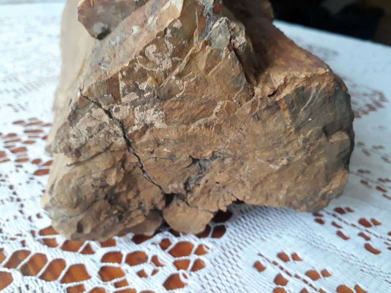 BEAUTIFUL LARGE 10KG PIECE OF FOSSILIZED TREE - PETRIFIED TREE/VERSTEENDE BOOM