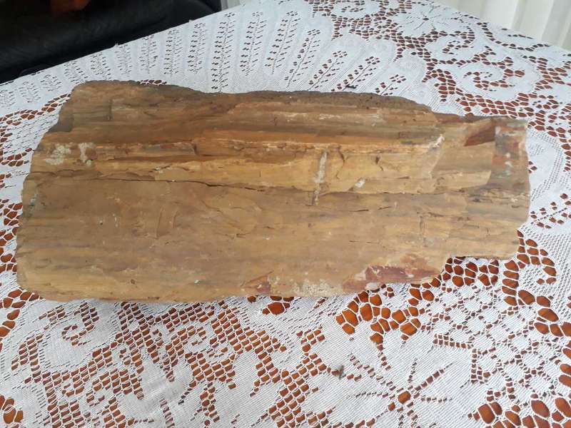 BEAUTIFUL LARGE 10KG PIECE OF FOSSILIZED TREE - PETRIFIED TREE/VERSTEENDE BOOM
