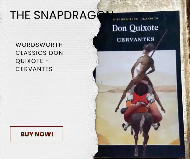 WORDSWORTH CLASSICS - DON - QUIXOTE - CERVANTES - TRANSLATED BY P.A. MOTTEUX