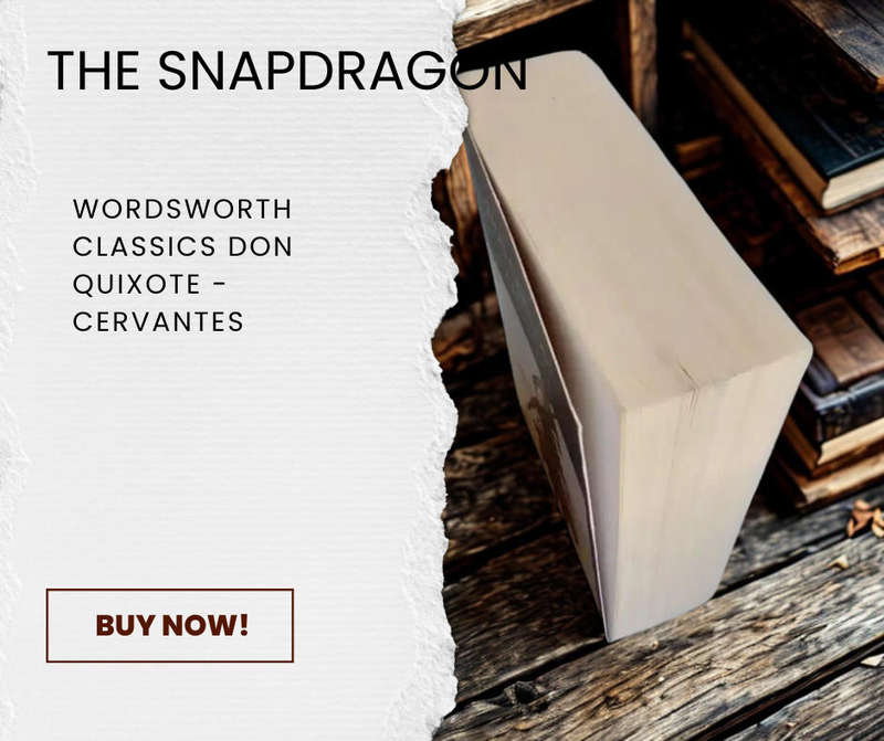 WORDSWORTH CLASSICS - DON - QUIXOTE - CERVANTES - TRANSLATED BY P.A. MOTTEUX