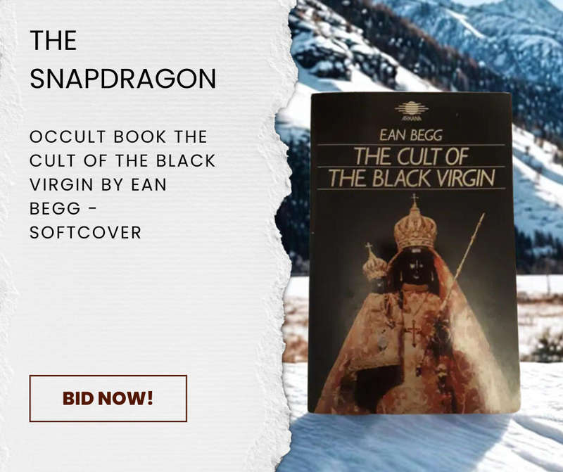 OCCULT BOOK - THE CULT OF THE BLACK VIRGIN BY IAN BEGG - PUB 1986 - PAPERBACK