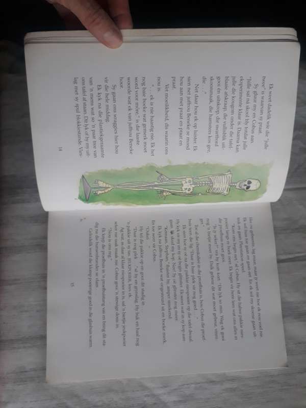 CHILDREN'S BOOK - AFRIKAANS - GERAAMTE IN DIE KAS DEUR FANIE VILJOEN - GOEIE TOESTAND