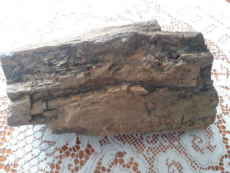 BEAUTIFUL LARGE 10KG PIECE OF FOSSILIZED TREE - PETRIFIED TREE/VERSTEENDE BOOM