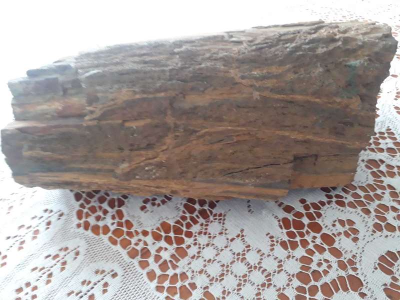 BEAUTIFUL LARGE 10KG PIECE OF FOSSILIZED TREE - PETRIFIED TREE/VERSTEENDE BOOM
