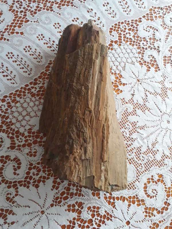 BEAUTIFUL LARGE 10KG PIECE OF FOSSILIZED TREE - PETRIFIED TREE/VERSTEENDE BOOM