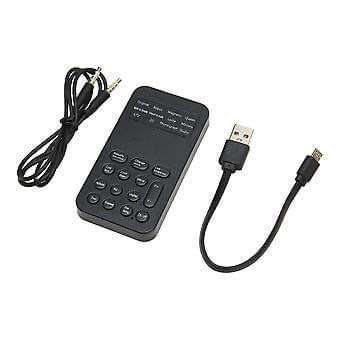 Handheld, Portable Voice Changer (local stock)