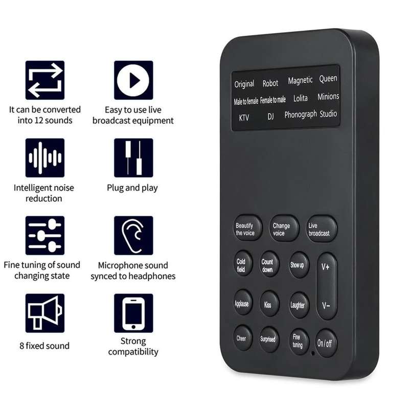 Handheld, Portable Voice Changer (local stock)