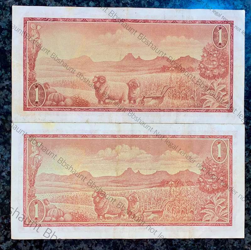 Tw De Jongh. R1 - backs two different shades - A series 1975 (1 bid takes all)