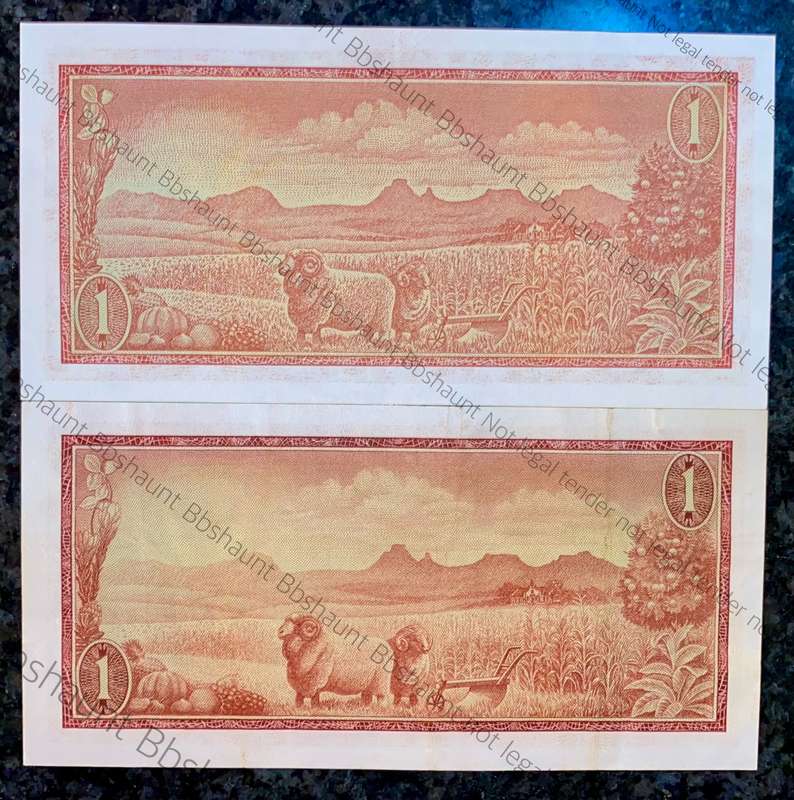 Tw De Jongh. R1 A series - backs are different shades (1 bid takes all)
