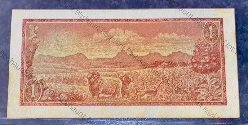 Springbuck wtm Graded R1 - TW De Jongh - Printers Proof Progression print 1966-1974 - SANGS