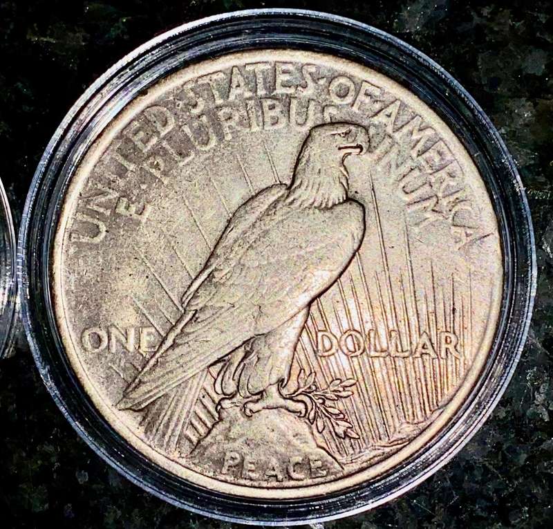 USA Silver Peace 1 dollar - 1923 Philadelphia mint - in capsule