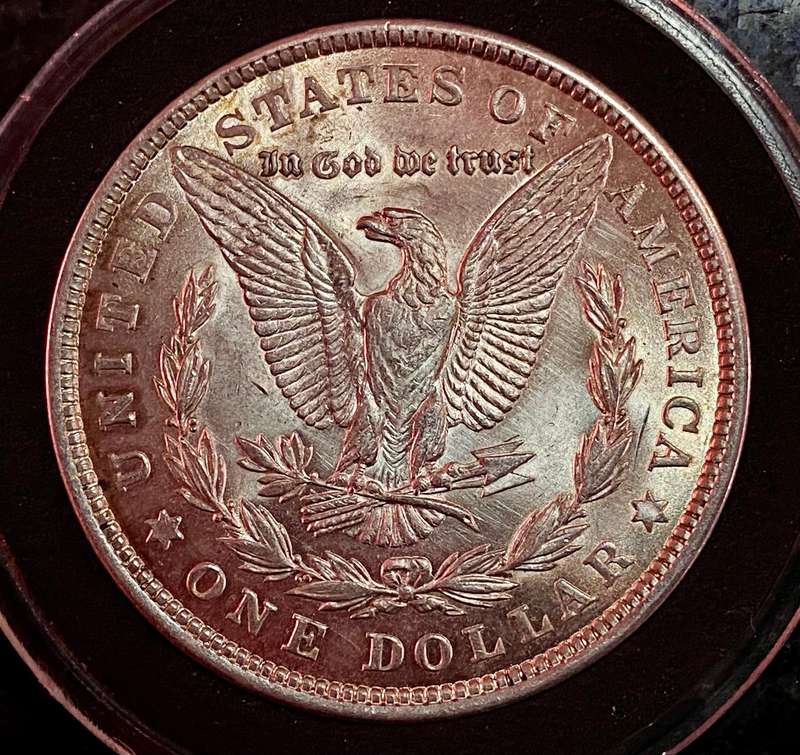 USA Silver Peace 1 dollar - 1921 Philadelphia mint excellent condition in capsule