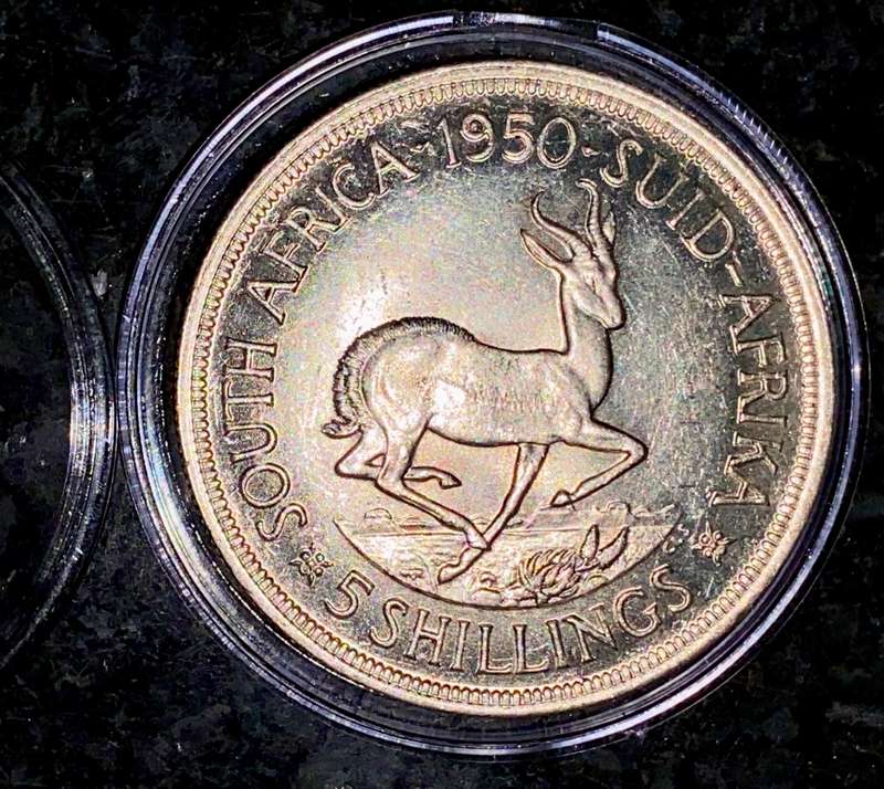 S A UNION SILVER 5 SHILLINGS 1950 GOOD CONDITION - MINTAGE ONLY 84454 - IN CAPSULE SILVER 80%