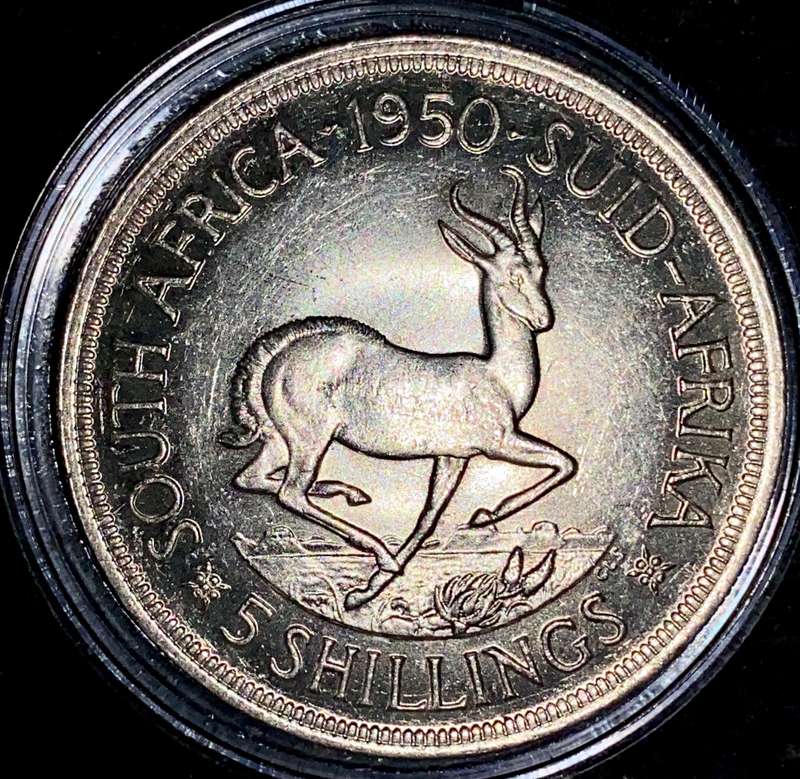 S A UNION SILVER 5 SHILLINGS 1950 GOOD CONDITION - MINTAGE ONLY 84454 - IN CAPSULE SILVER 80%