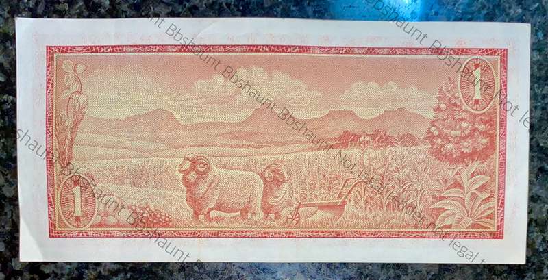 Tw De Jongh. R1 low number A467 /000405 springbuck wtm
