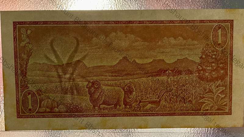 Springbuck wtm Graded R1 - TW De Jongh - Printers Proof Progression print 1966-1974 - SANGS