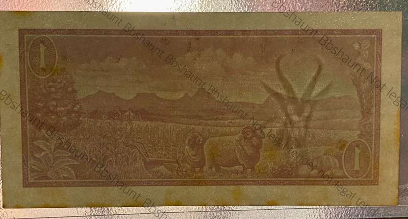 Springbuck wtm Graded R1 - TW De Jongh - Printers Proof Progression print 1966-1974 - SANGS