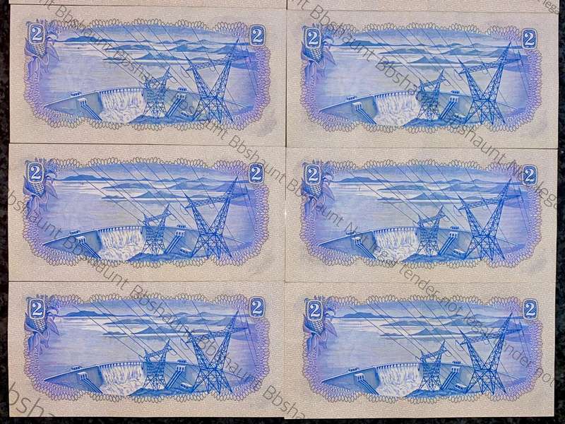 Tw De Jongh. R2 aunc all Springbuck wtm 2nd issue 1974 (bid per note)