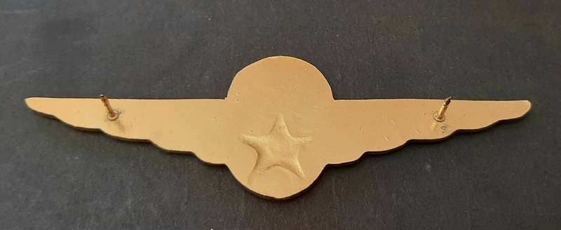**RARE: Pre-1994 Kempton Park Traffic Dept. Parachute Wings ( All Pins).**