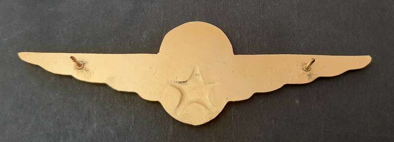 **RARE: Pre-1994 Kempton Park Traffic Dept. Parachute Wings ( All Pins).**