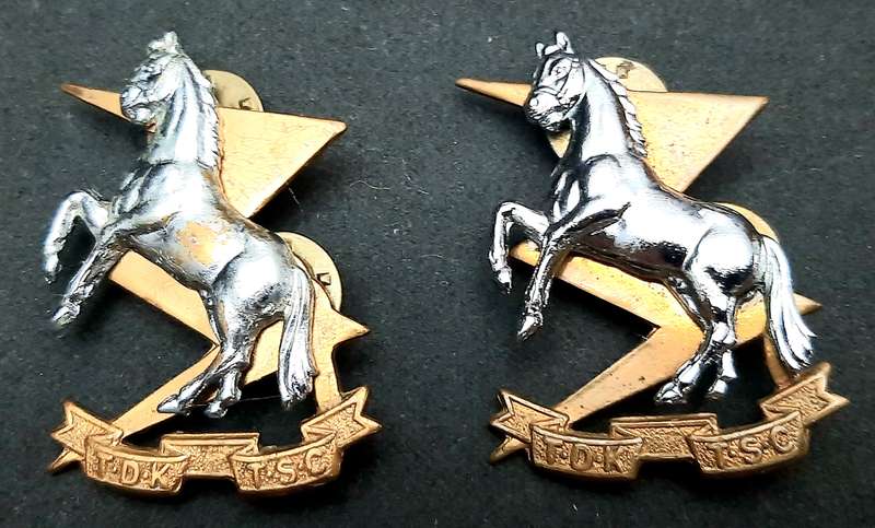 **Border War : 1980s SADF Technical Services Corps Collar Badge Pair (All Pins)**