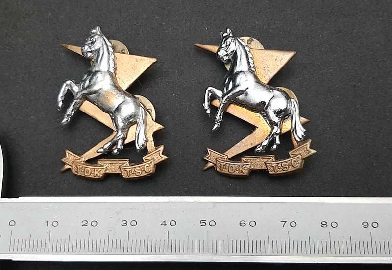 **Border War : 1980s SADF Technical Services Corps Collar Badge Pair (All Pins)**