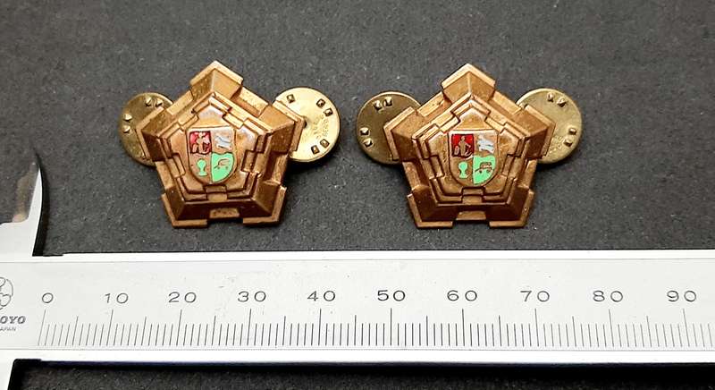 **Border War : 1960s SADF Major Brass Rank 'Castle' Insignia Pair(All Pins)**