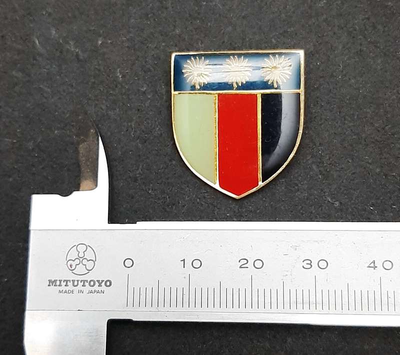 **Border War : 1980s/90s  SADF N/Transvaal Chief Joint Combat Forces Lapel Badge (Pins)**