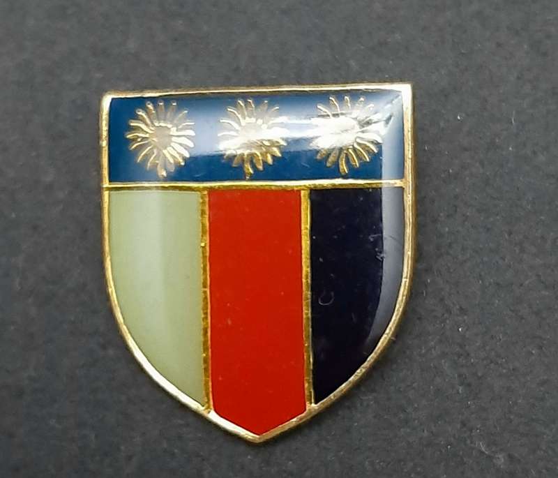 **Border War : 1980s/90s  SADF N/Transvaal Chief Joint Combat Forces Lapel Badge (Pins)**