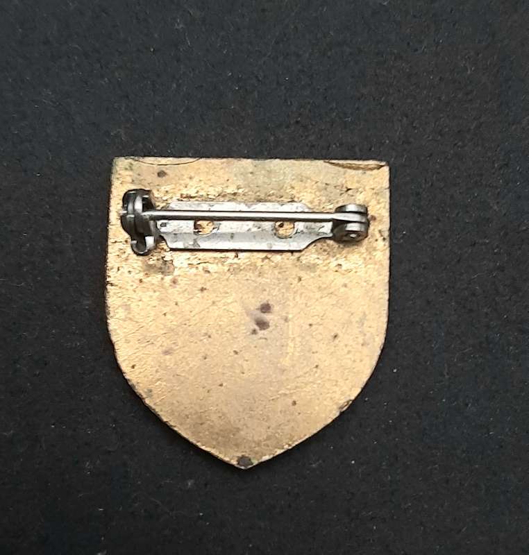 **Border War : 1980s/90s  SADF N/Transvaal Chief Joint Combat Forces Lapel Badge (Pins)**