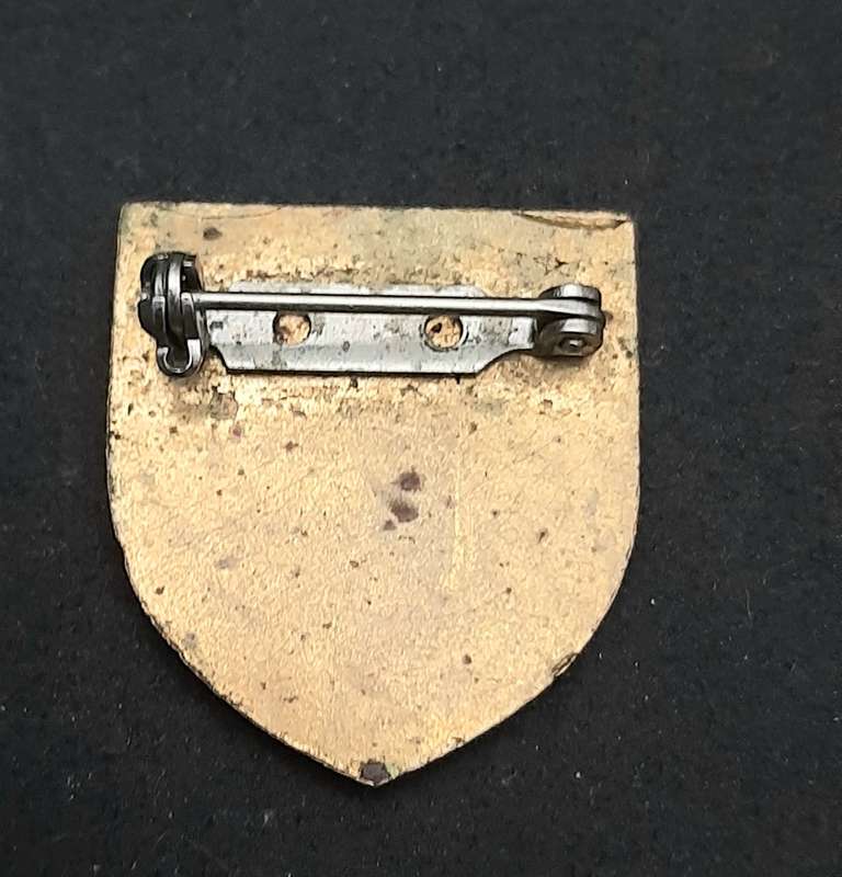 **Border War : 1980s/90s  SADF N/Transvaal Chief Joint Combat Forces Lapel Badge (Pins)**