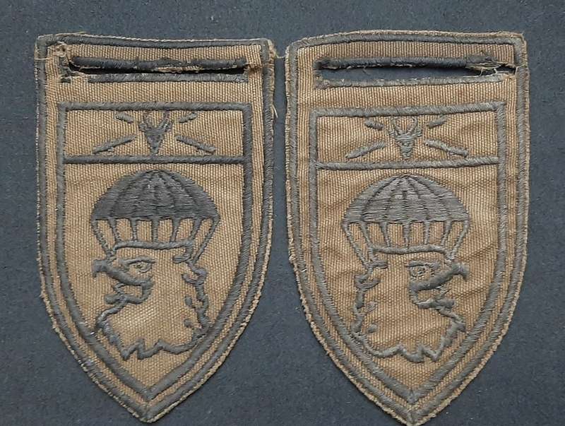 * *Border War : 1980s SADF 44 Parachute Brigade Nutria Embroid. Flashes x2 (L/F & R/F.**