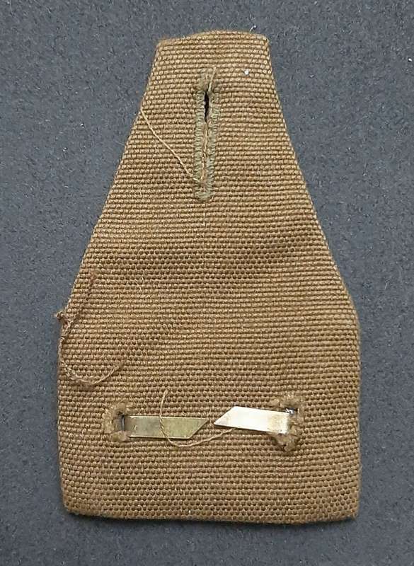 **Border War : 1980s SADF Cadet Corps Nutria & Lucite Pocket Fob Badge**